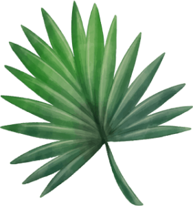 HOJA 2