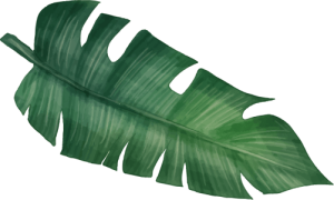 HOJA 3
